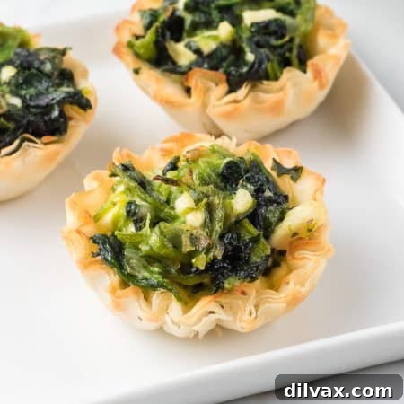 Spanakopita Bites