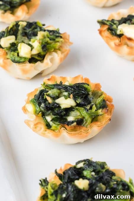 Close-up of baked Spanakopita Bites in mini phyllo cups, showcasing the golden crust and vibrant green filling.