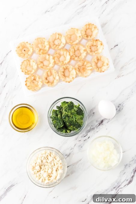 Ingredients for Spanakopita Bites, including phyllo shells, spinach, feta, onion, eggs, and olive oil, laid out on a kitchen counter.