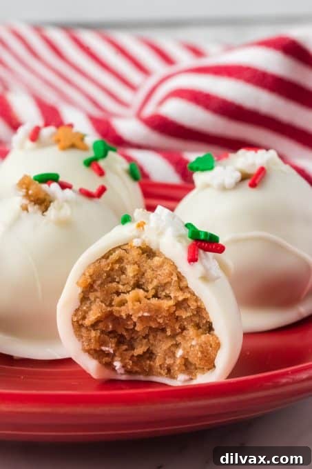 Spiced Holiday Truffle Treasures 11 A close-up of a gingerbread cake ball with a bite taken out, revealing its moist, spiced interior.
