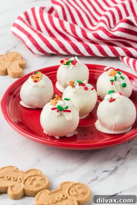 Spiced Holiday Truffle Treasures 8 Several perfectly round gingerbread cake balls, ready for their final chocolate coating.