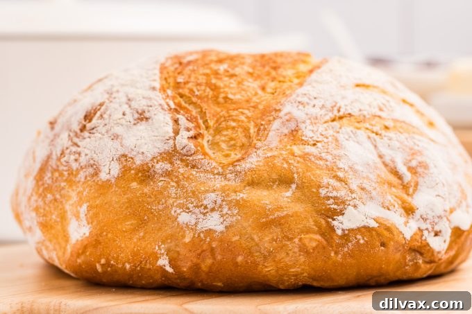 Freshly baked Dutch Oven Bread, showcasing its rustic, golden crust.