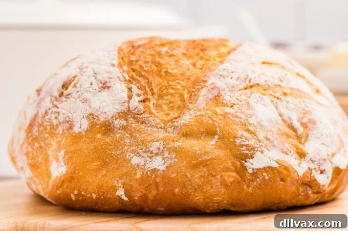 Rustic Dutch Oven Loaf 2 Dutch Oven Bread