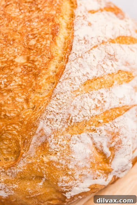 A whole loaf of Dutch Oven Bread cooling on a rack, emphasizing its beautiful golden-brown crust.