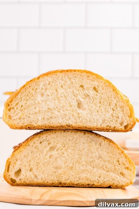 A pristine enameled cast iron Dutch oven, ready for baking.