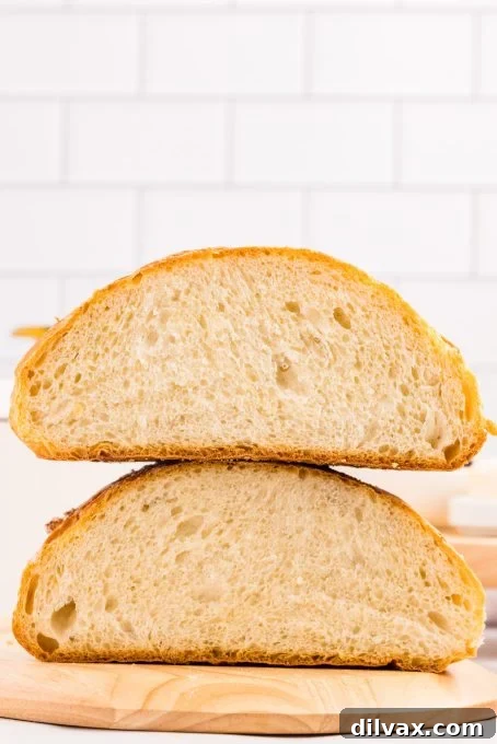 Rustic Dutch Oven Loaf 4 img 42464 3