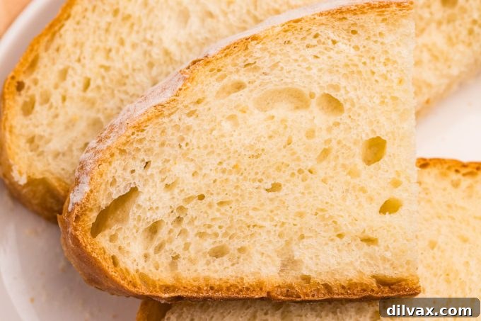 A close-up of a sliced Dutch Oven Bread loaf, revealing its open and airy crumb.