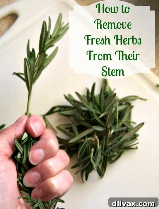 Effortlessly Destemming Fresh Herbs 3 Discover an incredibly simple and effective technique to easily remove fresh rosemary and thyme leaves from their stems, saving you precious time.