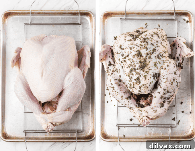 Herbed Roasted Turkey Delights 6 2nd set of process photos for Herb Roasted Turkey.