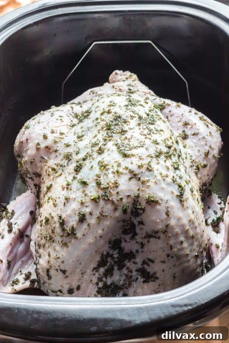Herbed Roasted Turkey Delights 7 A turkey smothered with fresh herbs in a roasting pan.