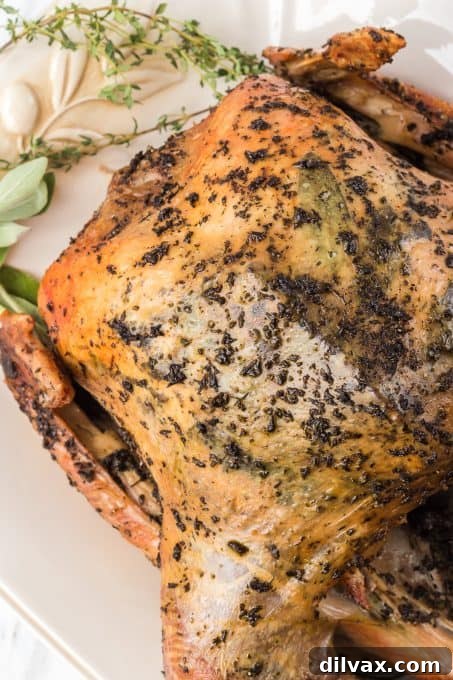 Herbed Roasted Turkey Delights 8 A roasted turkey with fresh herbs.