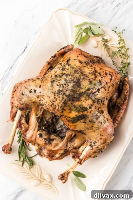 Herbed Roasted Turkey Delights 9 Sage, rosemary and thyme help make this Roasted Turkey extra delicious.