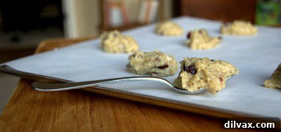 Cranberry Nut Cookies dough dropped onto a baking sheet, ready for the oven.
