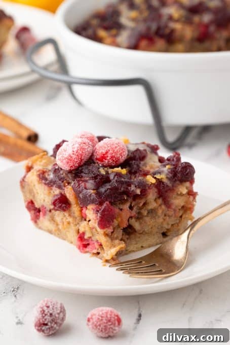 Warm Orange Bread Pudding with Cranberries, a delightful dessert.