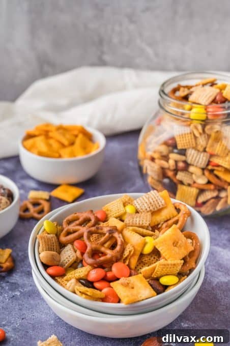 A visually appealing snack with cereal, pretzels, candy, and crackers mixed together, ready for enjoyment.