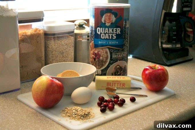 Cozy Skillet Apple Cranberry Oat Bake 6 The wholesome Quaker Quick 1-Minute Oats, essential for the Cranberry Apple Oatmeal Skillet Cookie, displayed alongside fresh cranberries and a crisp apple, ready for baking.