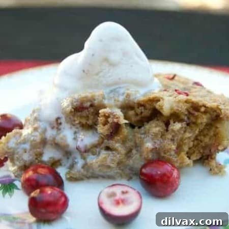 Cozy Skillet Apple Cranberry Oat Bake 7 Cranberry Apple Oatmeal Skillet Cookie