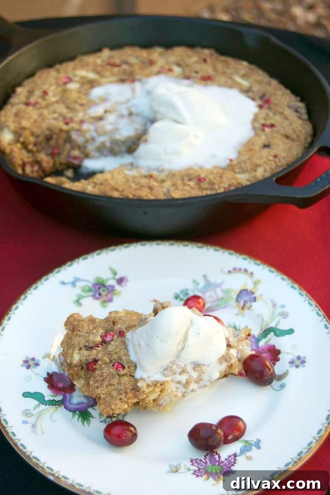 Cozy Skillet Apple Cranberry Oat Bake 8 A generous slice of Cranberry Apple Oatmeal Skillet Cookie served warm with a scoop of creamy vanilla ice cream, embodying the ultimate holiday comfort dessert.