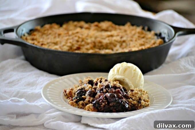 Cozy Skillet Apple Cranberry Oat Bake 9 A bubbling Skillet Blueberry Crisp with fresh blueberries, a golden almond oatmeal topping, and a scoop of melting vanilla ice cream, making it a perfect dessert for any occasion.