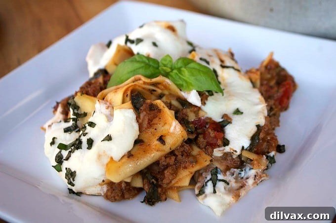 Cozy Skillet Apple Cranberry Oat Bake 10 A hearty and satisfying Skillet Spinach Lasagna, layered with rich tomato sauce, creamy ricotta, tender pasta, and fresh spinach, all cooked in a single skillet, perfect for a busy weeknight.