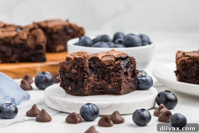 Decadent Blueberry Brownies 2 Blueberry Brownies - Fudgy chocolate brownies with fresh blueberries