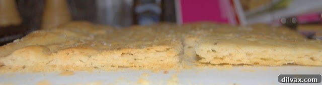 Flat, Disappointing Focaccia Bread