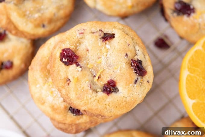 Delightful Cranberry Orange Cookies with festive appeal