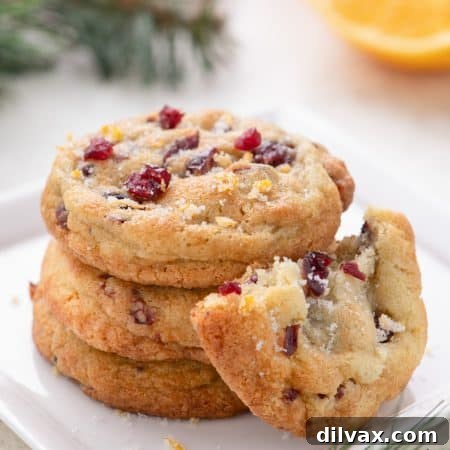 Cranberry Orange Cookies