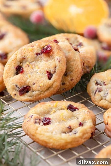 Close-up of freshly baked Cranberry Orange Cookies