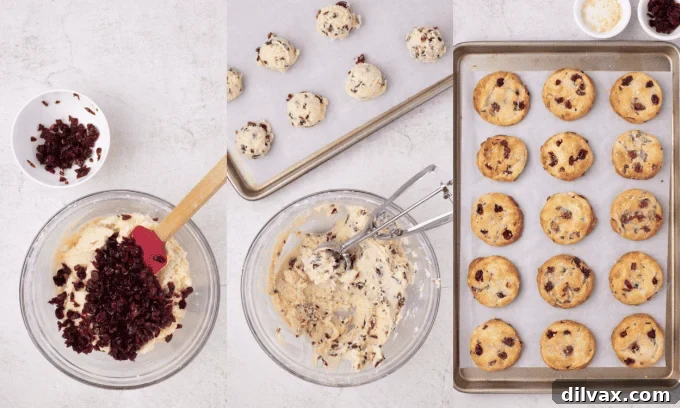Mixing cranberries into cookie dough for Cranberry Orange Cookies