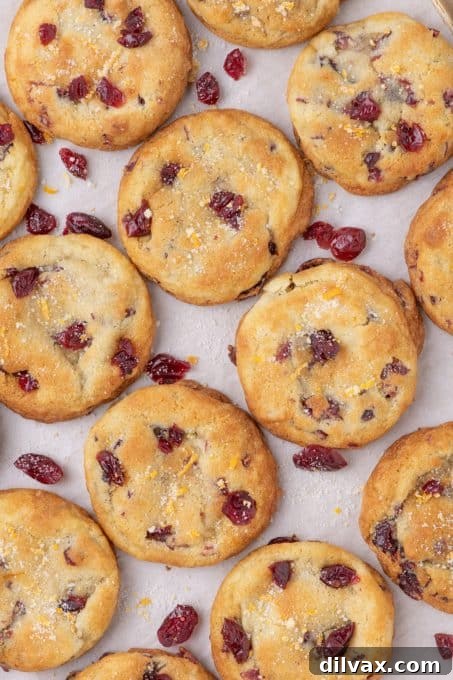 Stacked Cranberry Orange Cookies with sugared zest