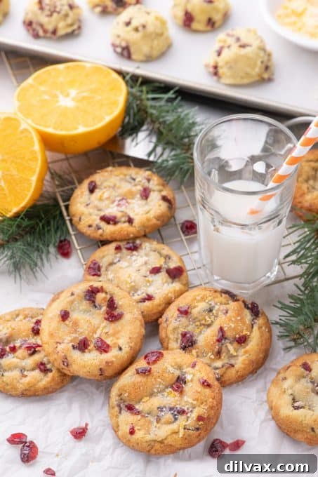 Golden sugar cookies with orange and cranberries