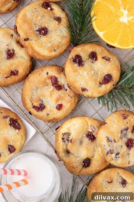 A selection of Cranberry Citrus Cookies on a serving plate