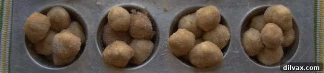 Multiple cinnamon-sugar coated dough balls placed in muffin cups before baking.