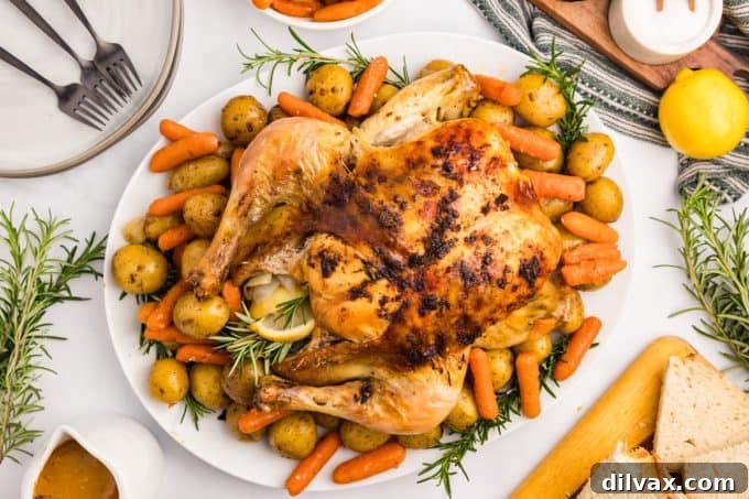 Comforting Dutch Oven Chicken 2 Dutch Oven Chicken