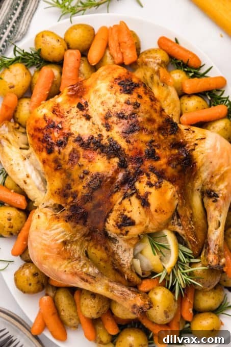 Comforting Dutch Oven Chicken 10 Dutch Oven Chicken