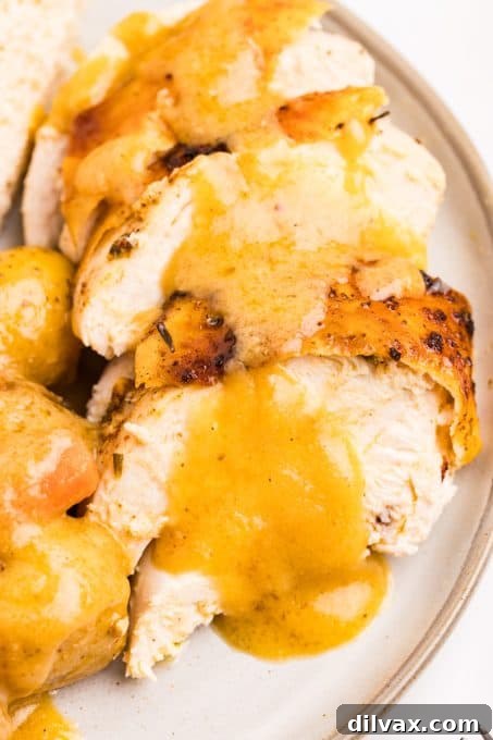 Gravy on sliced roasted chicken.