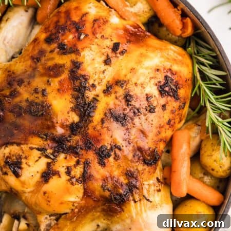Dutch Oven Chicken