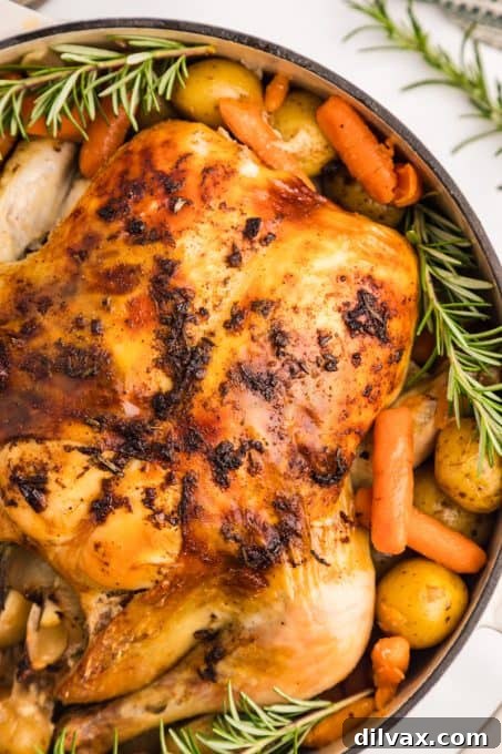 Comforting Dutch Oven Chicken 3 Dutch Oven Chicken