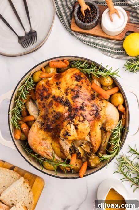 Comforting Dutch Oven Chicken 7 Cooked chicken and all the fixins' made in one pot.