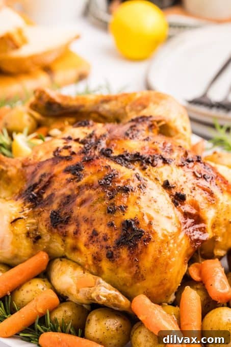 Comforting Dutch Oven Chicken 8 Chicken One-pot Dutch Oven dinner.