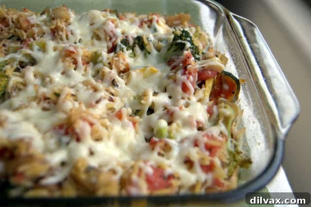 Savory Orzo Ratatouille Bake 6 Baked Orzo Ratatouille served directly from the baking dish
