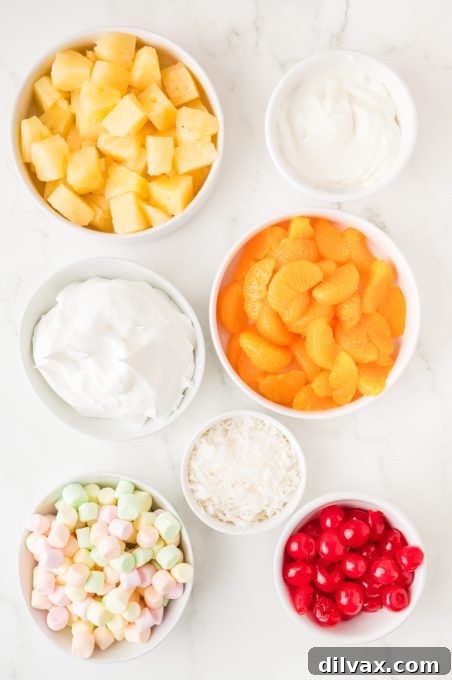 Ingredients for Ambrosia Salad laid out on a countertop.