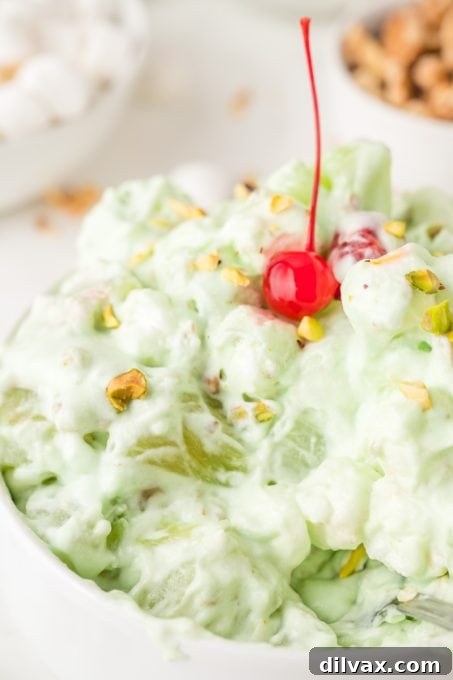 Mini Marshmallows, pineapple, pistachio pudding, cherries, and Cool Whip make up this classic side salad.
