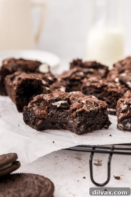 A close-up of several homemade Oreo Brownies, showcasing their rich texture and golden-brown edges.