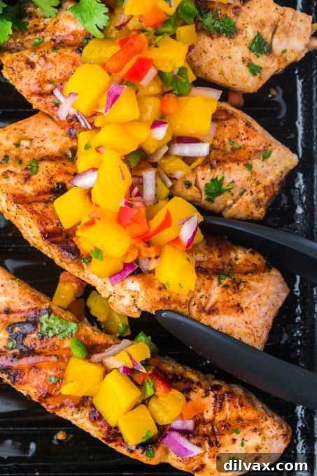Smoky Salmon with Tropical Mango Relish 3 Delicious Grilled Salmon with Mango Salsa ready to be served