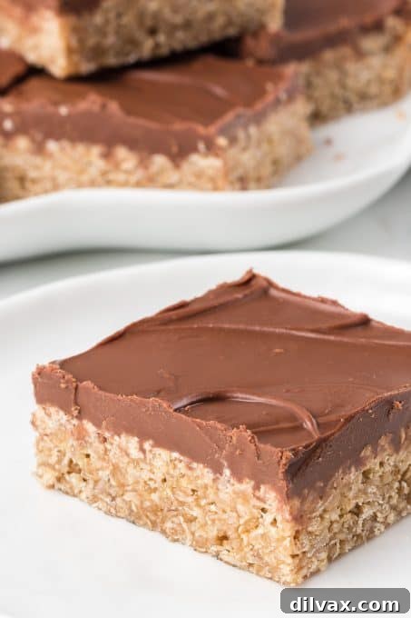 Close-up of O'Henry Bars showing the distinct layers of oatmeal and chocolate peanut butter.