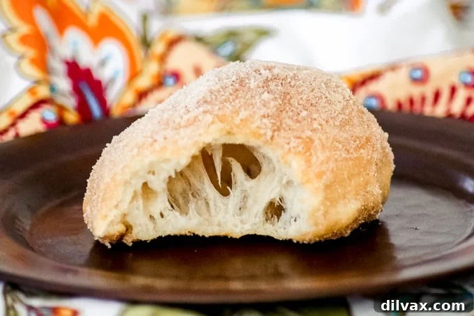 Peppermint Oreo Krispie Bars 8 Golden brown fried dough, also known as a doughboy, on a plate with a bite taken out, dusted with sugar.