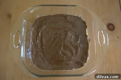 Celebrating Day 200 with Nutella Coconut Bars and a Sweet Giveaway 4 Nutella spread over the baked crust