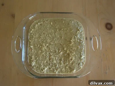 Celebrating Day 200 with Nutella Coconut Bars and a Sweet Giveaway 5 Nut and coconut mixture spread over Nutella layer